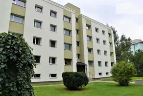 Laine 4A - Image 2