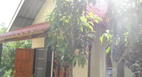 Baan Pai Memory - Image 4