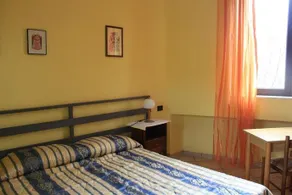 Lacero Campestre - Image 4