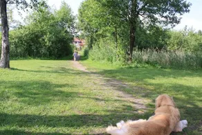 Folwark Łuknajno nad Jeziorem Śniardwy Gospoda Dziedzictwo Kulinarne Warmia-Mazury - Image 4