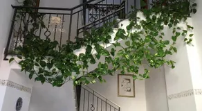 Villa Vittoria - Image 2