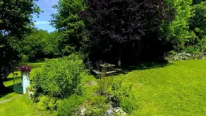 Les Camélias - Image 5