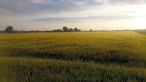 Het Vlieghuisje - Image 5