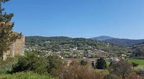 La petite châtaigne de Collobrières - Image 4