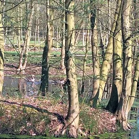 B&B Landgoed Bergerven - Image 2