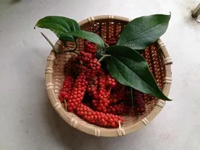Tabinoyado Kanoko - Image 3