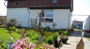 Ferienwohnung BoddenBlick - Image 2