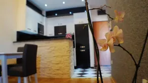 Sara apartments Budva - Image 2