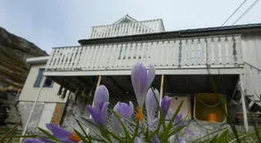Leifs House - Image 3