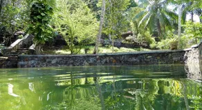 Singharaja Garden AGRO & ECO Lodge - Image 5