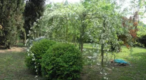 La casa delle rose - Image 4