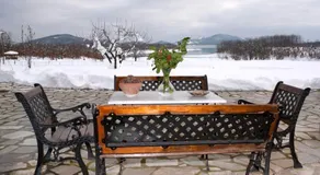 Paralimnia - Image 5