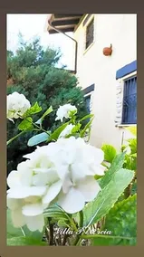 Villa Polercia - Image 2