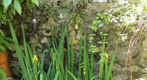 Casa delle Rose - Image 2