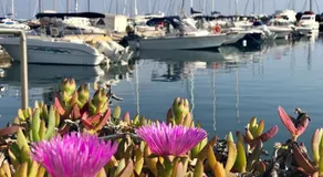 Casa Limone with spectacular sea view and gas BBQ! - Image 2