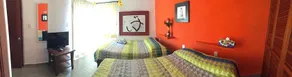 Casa Camelia - Image 4