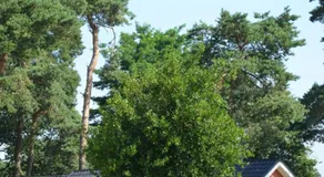 Lodge 4 Personen Camping De Molenhof - Image 3