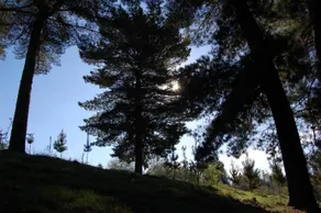 Rancho Saeta - Image 4