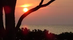 Budoni - The House of the Rising Sun - Image 4
