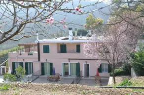 Ulivi e Corbezzoli - Image 2