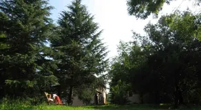 Agriturismo Bethsaid - Image 4