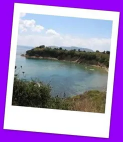 Sirios - Image 4
