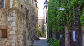 Montemerano-Saturnia House Apartment - Image 3