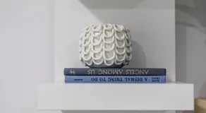 Spacious Guest Studio with Private Entry - Image 3