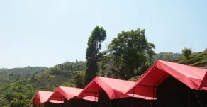 Camp O Royale - Image 1