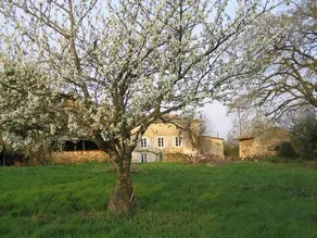 Le Mouillage Vert - Image 2