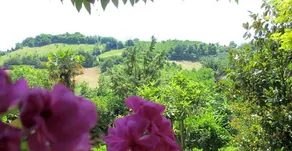 B&B Carboni - Image 5