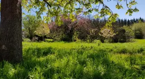 Le Domaine de Fontsauzine - Image 4