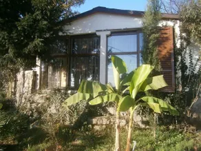 Villa Dalia - Image 2