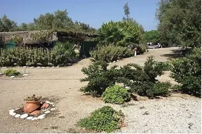 Camping Grammeno - Image 5