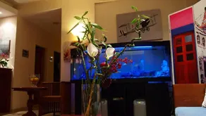 Coral Beach Hotel - Image 2
