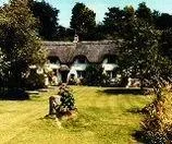 Cheney Thatch - Image 2