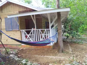 Real Jamaica - Image 3