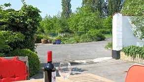 't Wit Reigertje - Image 3
