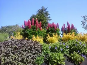 Chez Peponne - Image 4