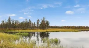 Holiday Home Järvenpää by Interhome - Image 2