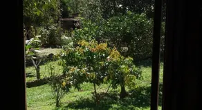 Sítio Iracema - Image 2