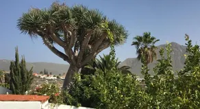 Detached Villa, private pool only 10 minutes Los Cristianos - Image 2
