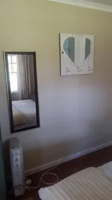 House Muddlers Minnow - Image 3