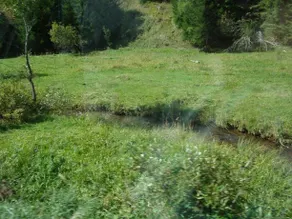 Kuma Lissa Guest House - Image 5