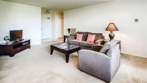 Reagan Airport Apartment - Image 5