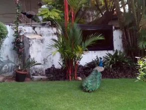 Ann's Residency - Image 5