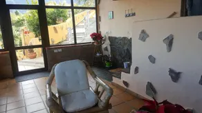 Finca Casa los Dragos - Image 2