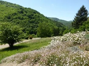 Au Riverain - Image 2