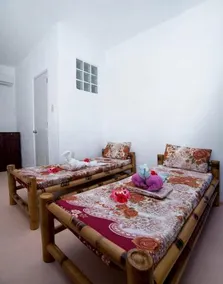 Alona Green House - Image 5