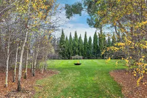 Orchards at Spring Vale Farm - Image 1